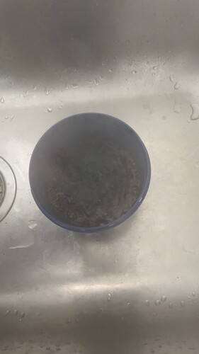 IMG_5134.jpeg