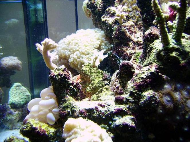 PICT0815.JPG