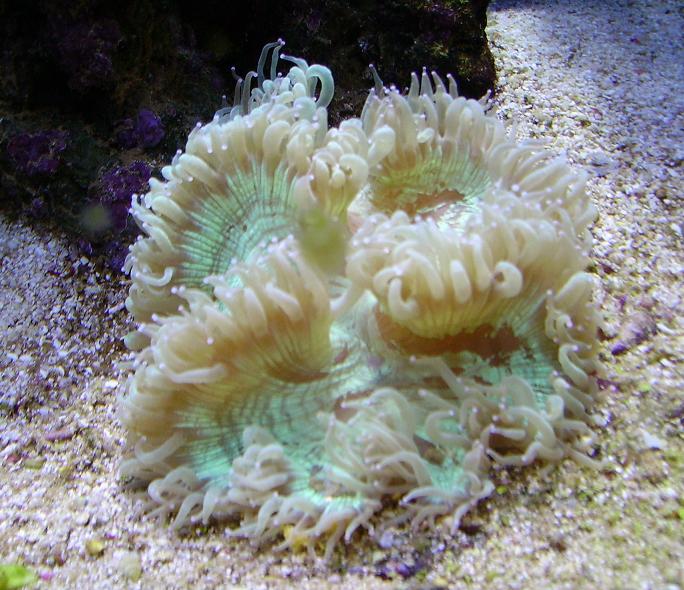 PICT0806.JPG