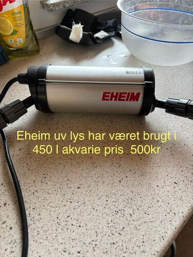IMG_2454.jpeg