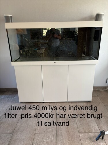 IMG_2428.jpeg