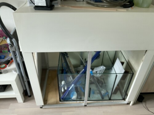 IMG_0104.jpeg