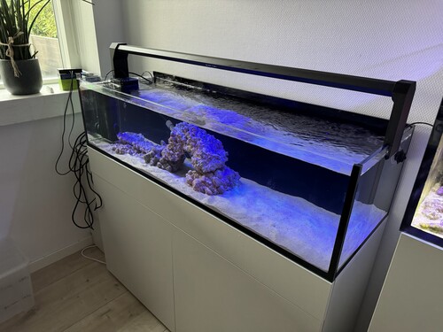 Akvarie 3.jpg