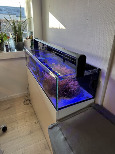 Akvarie 2.jpg