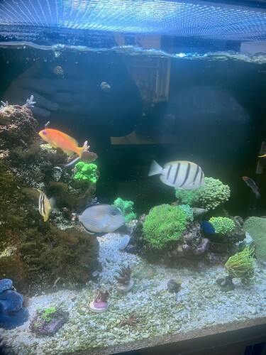 Under A8 se med orange filter