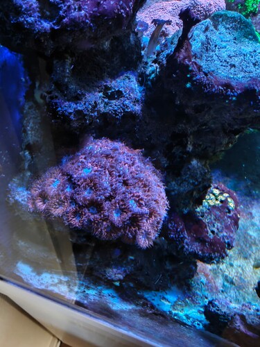 IMG_8108.jpeg