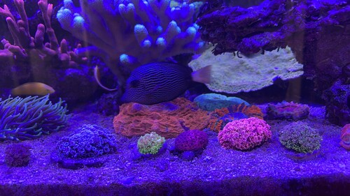 IMG_8380.jpeg