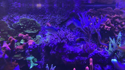IMG_8390.jpeg