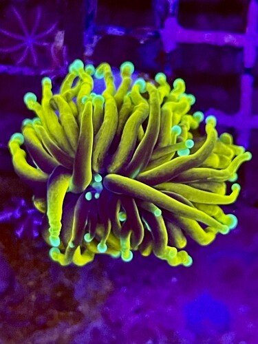 IMG_1189.jpeg