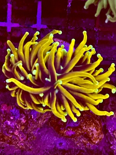 IMG_1187.jpeg