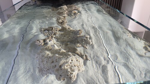 IMG_5313.jpeg