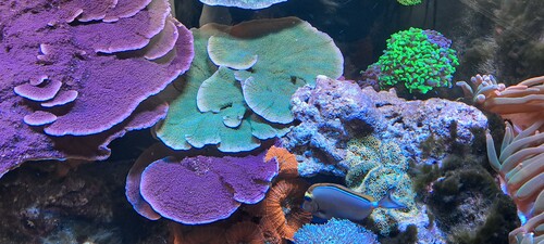 20250702_165050.jpg