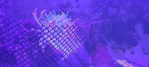 20250702_164836.jpg