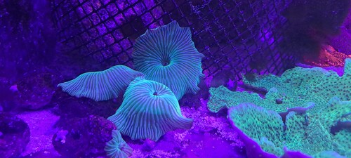 20250702_164715.jpg