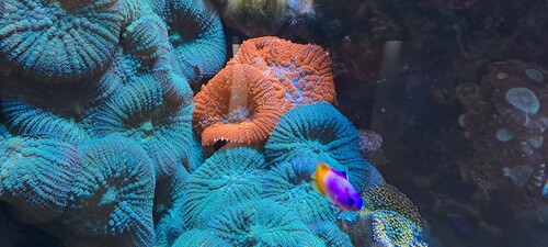 20250702_165007.jpg