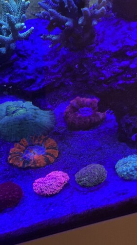 IMG_8505.jpeg