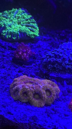 IMG_8499.jpeg