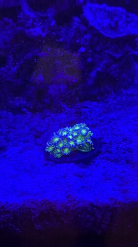 IMG_8496.jpeg