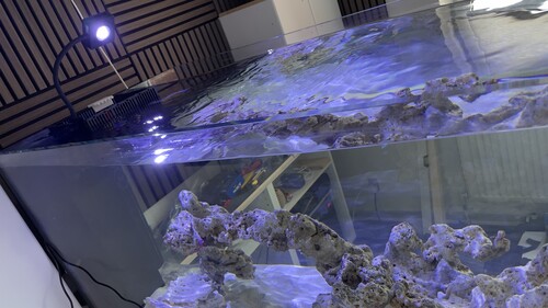 Aquamedic cube