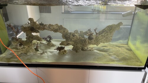 Day5 algae’s