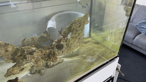 Day5 algae’s