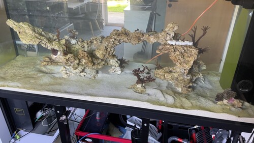 Day5 algae’s