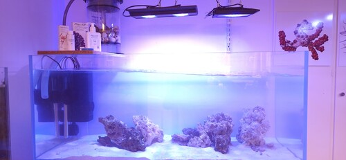 wavetank.jpg