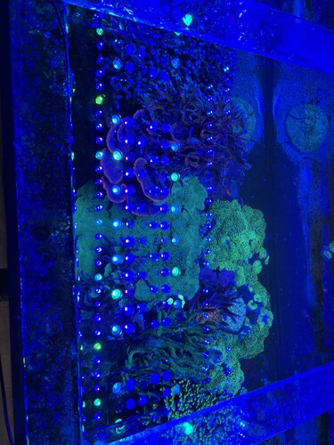IMG_0519.jpeg