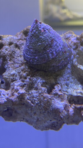 IMG_5522.jpeg