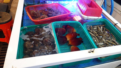 DSC09049.JPG