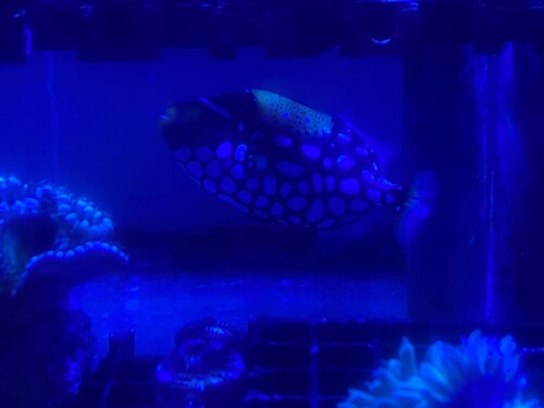 IMG_5136.jpeg