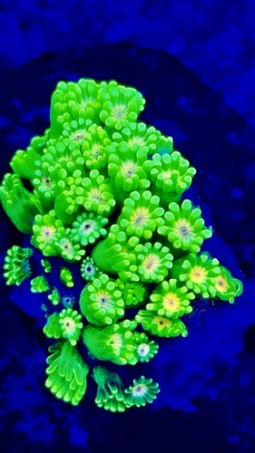 IMG_2413.jpeg