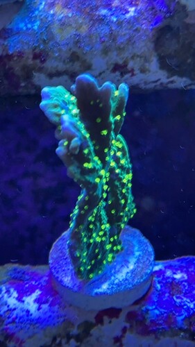 IMG_2560.jpeg