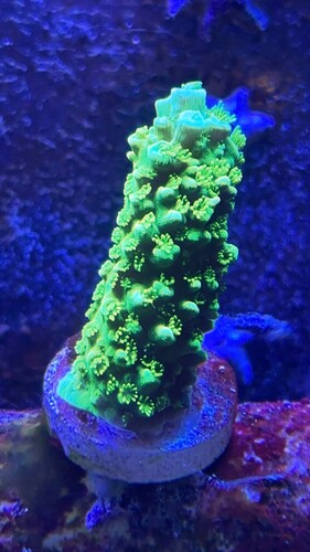 IMG_2545.jpeg