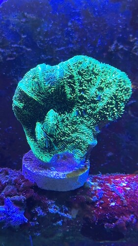 IMG_2543.jpeg