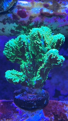 IMG_2538.jpeg
