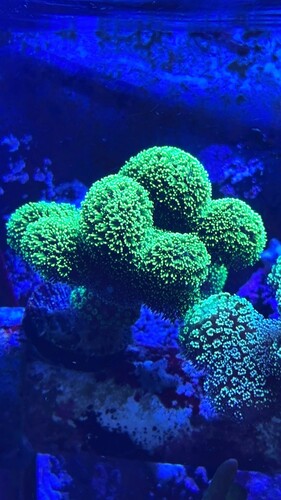IMG_2536.jpeg