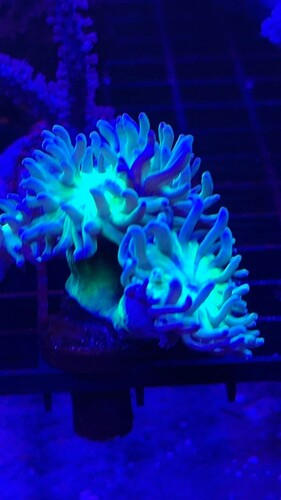 IMG_2594.jpeg