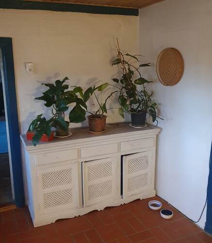 Kommende placering istedet for planterne