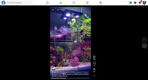 Screenshot 2025-11-26 at 16-46-01 (1) Facebook.png