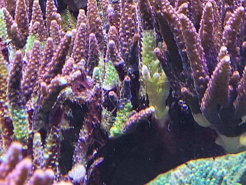 Og det her er fra 28.12 kl 15:09  Vinklen er en smule anderledes, men det er samme område der er på billedet. Den har taget alle på 19 timer.