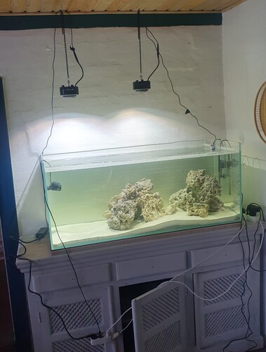 Kessil lamperne sat på den varmeste Kelvin grad de kan og på Ca 20%