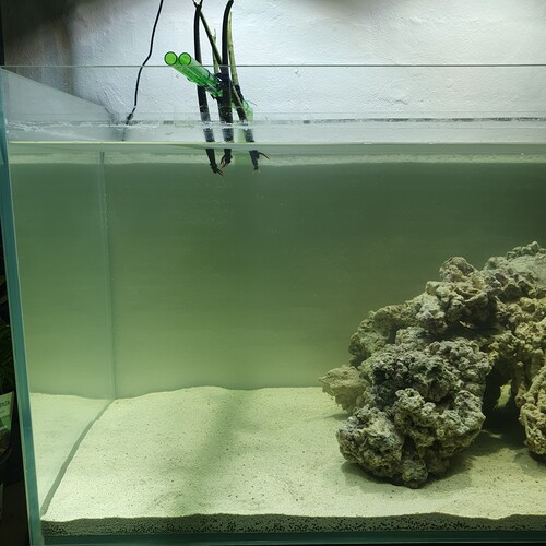 Første dag i baljen