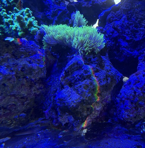 Through my glass a rainbow appears from sunlight