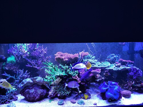 Et billede fra februar 2024 til sammenligning.