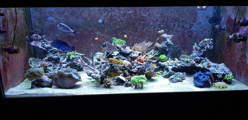 Som det ud kort efter opstart og indkøring den 18.12.18