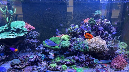 2026-01-23 11-11-54.jpeg