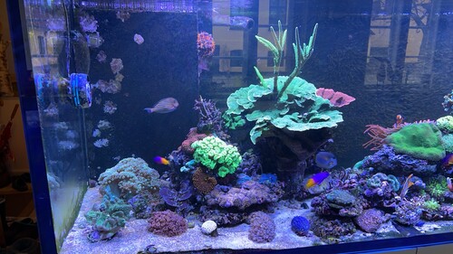 2026-01-23 11-11-45.jpeg