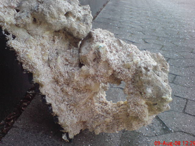 DSC00422.JPG