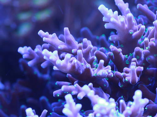 Screenshot 2026-02-14 134541.png